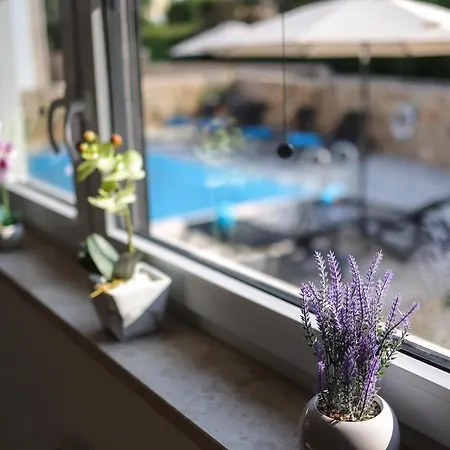 Vila Kaoru Brand New With A Heated Swimming Pool *